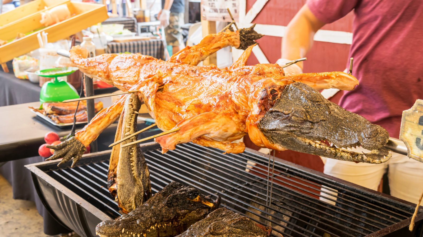 Whole alligator on the grill.